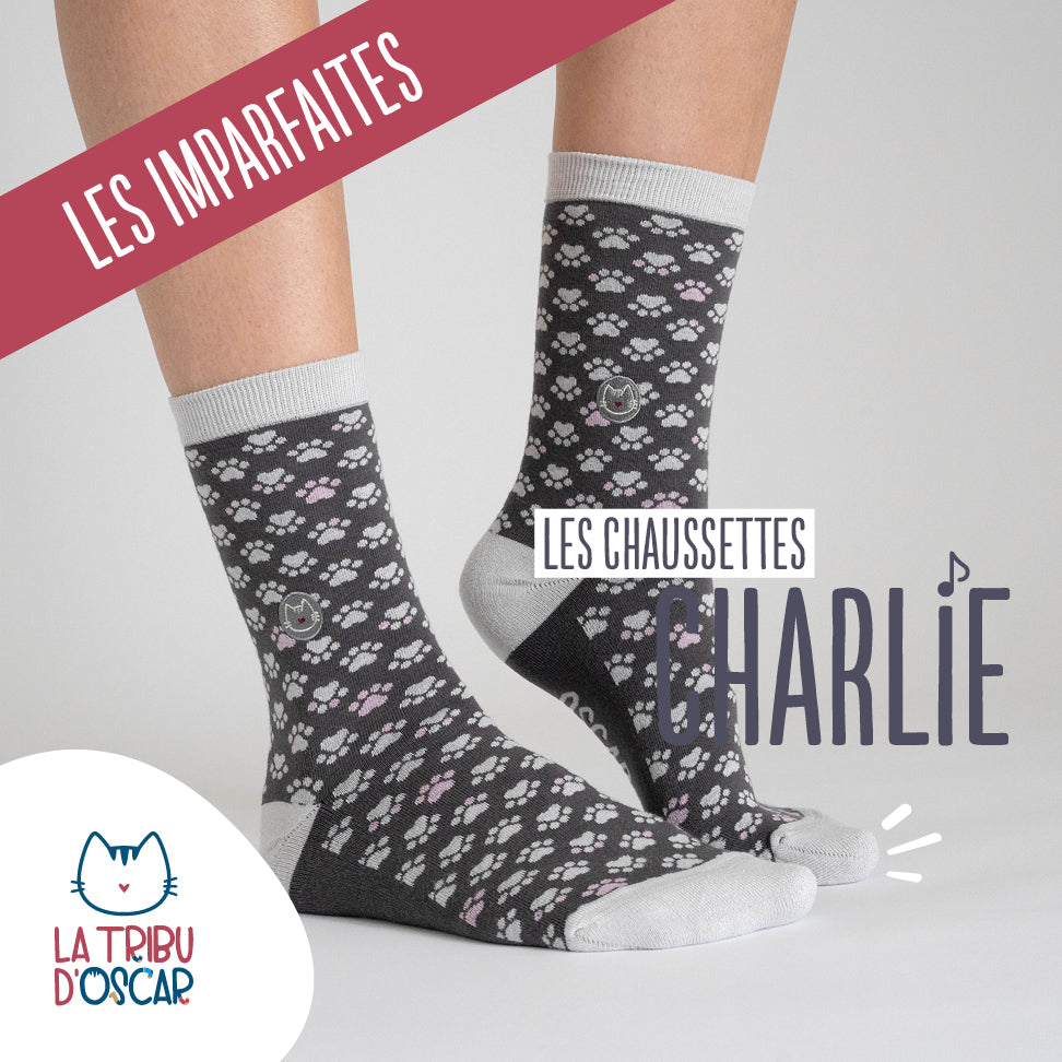 Charlie L'imparfait